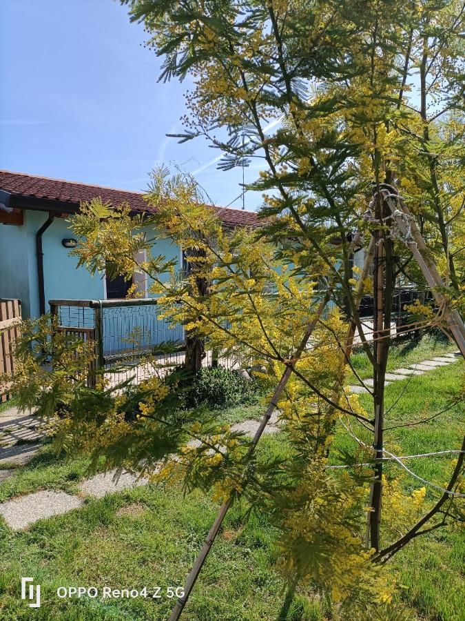 Casa Oasi Appartement Villa Cameroni Buitenkant foto