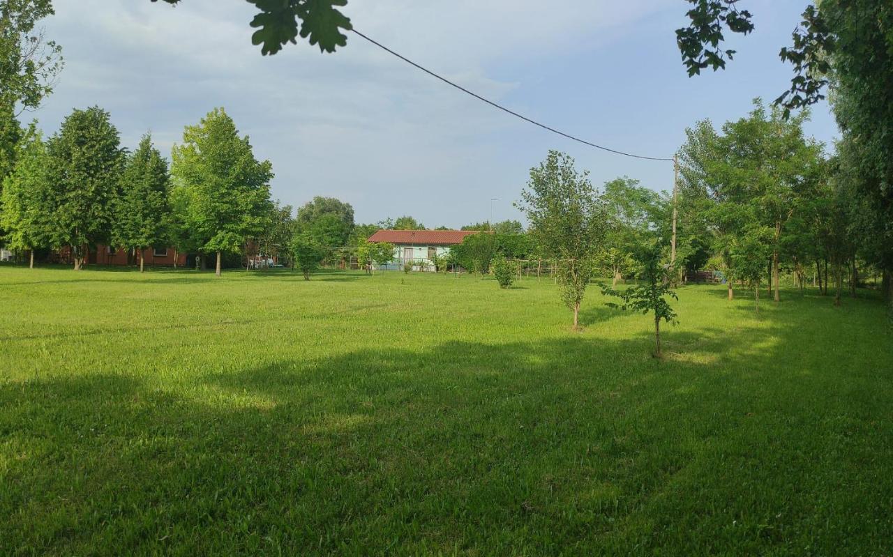 Casa Oasi Appartement Villa Cameroni Buitenkant foto